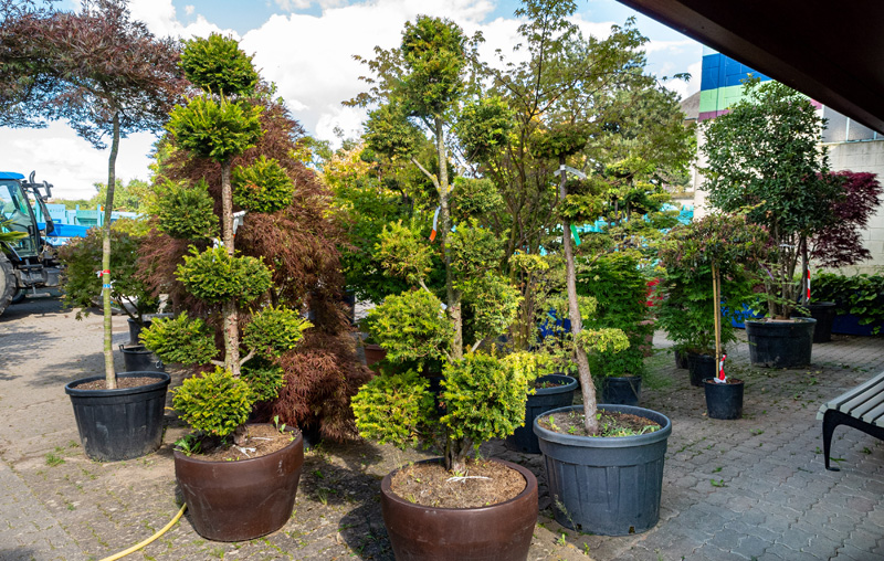 Entretien jardins et parcs Metz Nancy Thionville